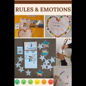 ruls bee collage 1