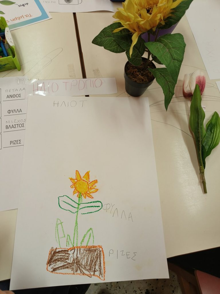 IMG20250331100348