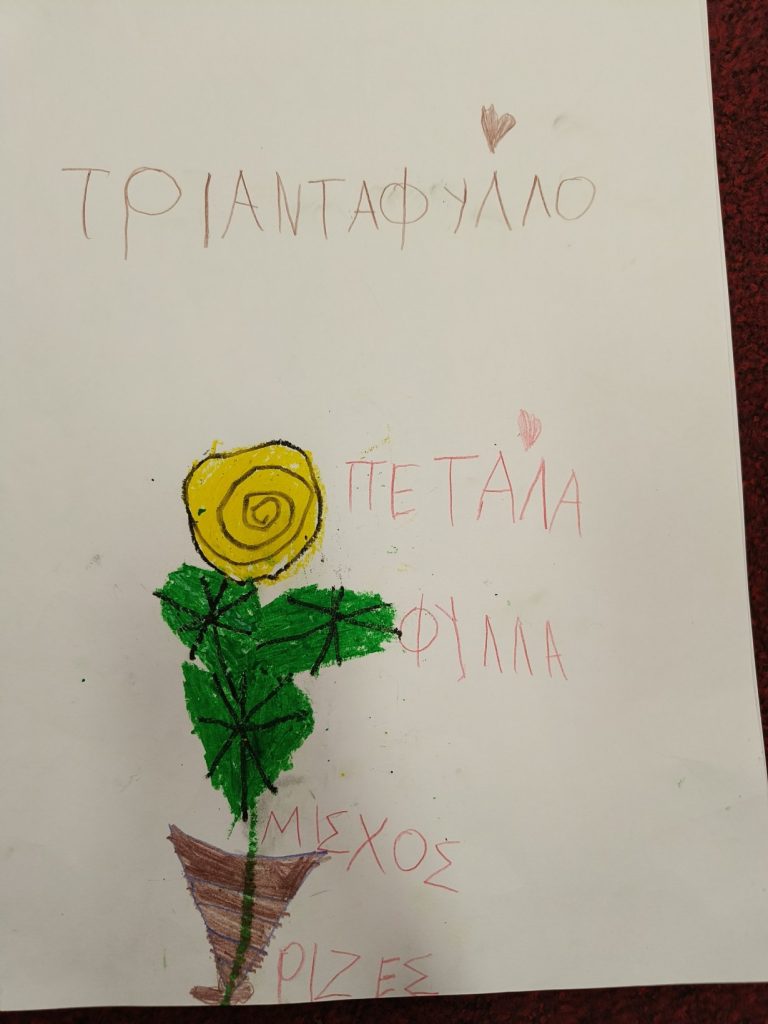 IMG20250331104226