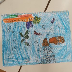 9aee01b8 c3cf 4a68 a4ed fd6a4cab3812