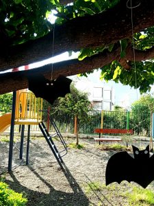 IMG 20220615 084551 1