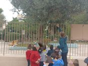 7bf2aaf4 8816 4cce a1e7 0f57e5fe312f