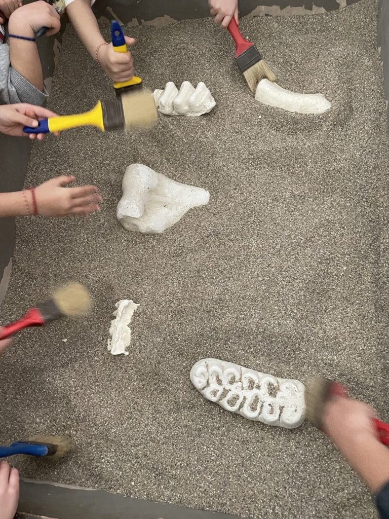 Image 12