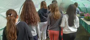 Ε΄Τάξη 14