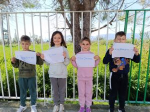 IMG 20250307 121104