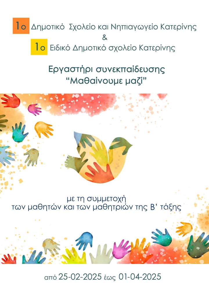 FB IMG 1740575305332