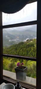 IMG 20230530 132626