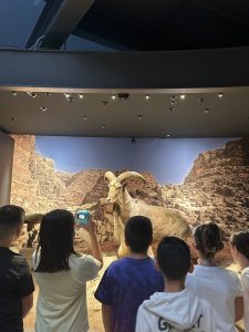 IMG 6166