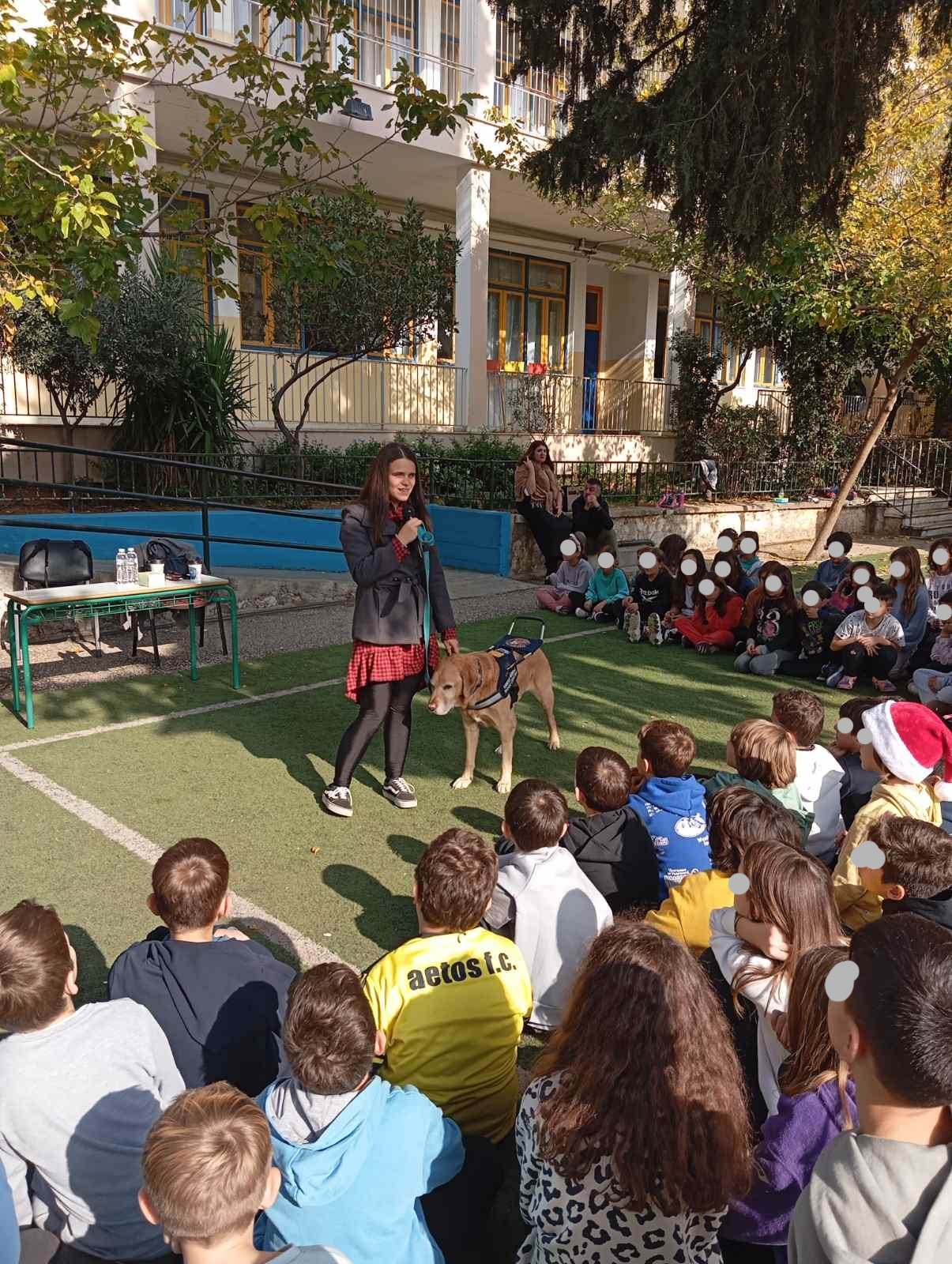 εικόνα Viber 2024 11 30 22 36 58 700