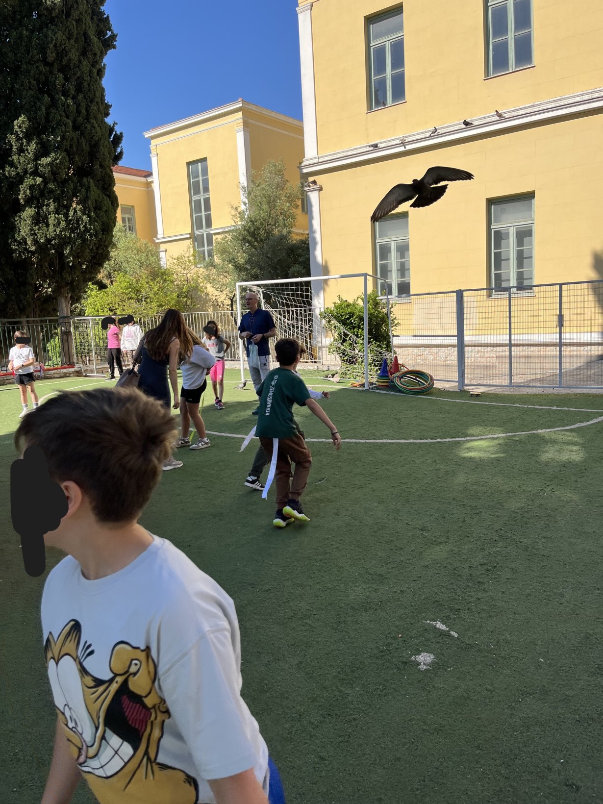 IMG 2395