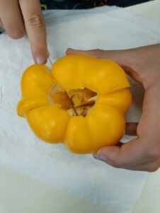 IMG20231101101739