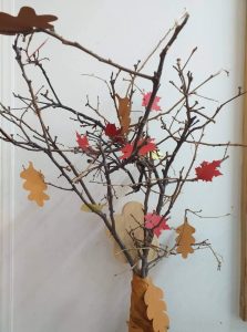 received 5045764381788181