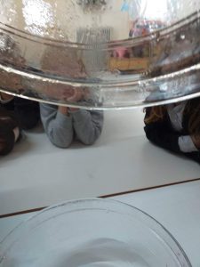 received 6265184192303341