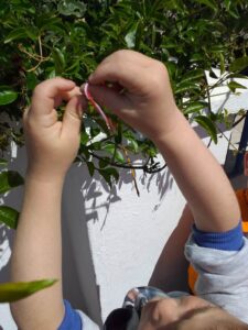 received 1748768321549881