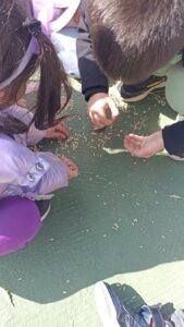 Ο κύκλος του ψωμιού 8