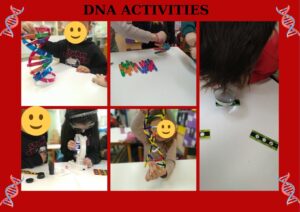 DNA ACTIVITIES