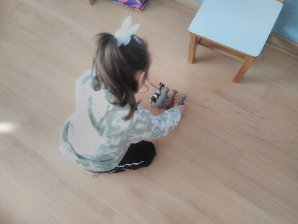IMG 20241126 112217 867