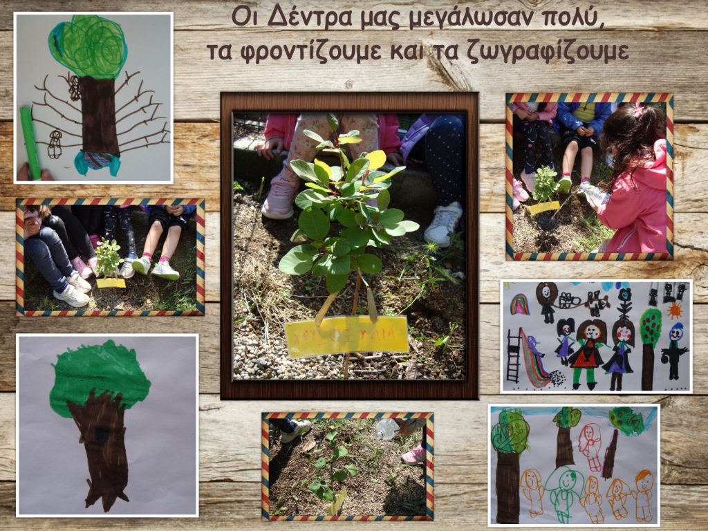 Δέντρα μας