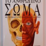 1df6b30d 53af 4e92 b31b d1b396253028