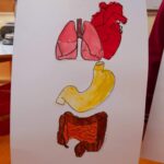 54e77e92 15b7 442c 9b0e b825807286ff