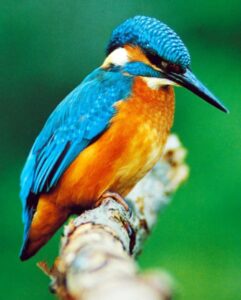 be2249d3 e3ee 443f a9ec 5036b2d43351