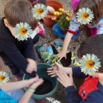 176537fb 6409 47dd bbb3 406b66196bc6