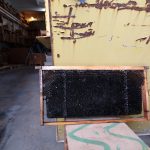 1a6ec090 5158 4669 a718 0eb18cbe0fc6