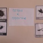 503dbc47 5259 43d9 abaf cd8a50d4c49a