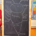 56a88db5 7874 48a3 b419 0d2d70edded6