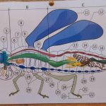 5866005a e776 4ae5 aa54 0b966beb3b6b