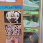 686b9599 c573 4072 babb b68e1c4f06fa