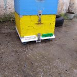 6b5c34eb add5 4cb4 99e8 5080512076e9