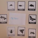 914f119d 5ca8 4408 ae4f 07edff742749