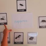 ae55c799 1445 4b90 a5c9 e8ba07f0260f