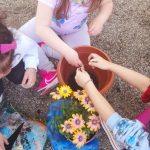 e521fe7f 9c67 464a b2d9 0877c9e91252