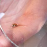 e5492129 dd60 47ad 86c8 bc4c23055675