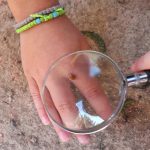 fd9d521d 4bc2 4226 9543 11a0ccfb9c81