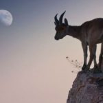 6c5a1879 10ac 4a87 9648 b2c178c1850d