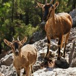 70f8c850 5aa1 49a4 801b a5079b1927fc