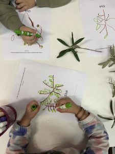 IMG 21eb0c873af08ffc477d90f8d522b110 V