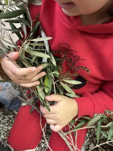 IMG f2ab04d7f12da6315a6182f64a6b4fb5 V