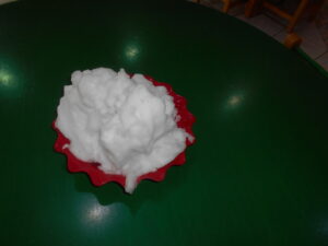 DSCN2701