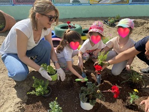 0 02 05 6e766ff1de62bccd791ca604f5581a87bc0d492b76a0b437837491673dbb42c2 db281298b87b6910