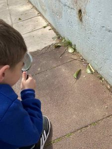 IMG a71f8e30760337755dc395d2f9655c0b V