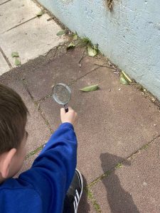 IMG c8f6b655a6f31439a82766aac6bcaab7 V