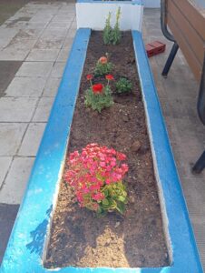 661d0923 389a 4ceb 9f6c 310b65514cf6