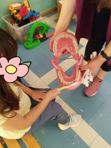 IMG 381a97797522e364878f4eef14a7a015 V