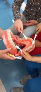 IMG 4552b9aadaab354de390c35d452956e8 V