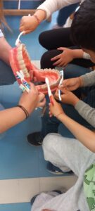 IMG 4e9ad5792dc1d552271c9da36d0e0eb0 V