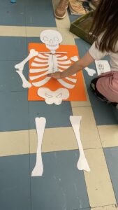 IMG 9d2461520e772f548eb8ee01114fd15f V